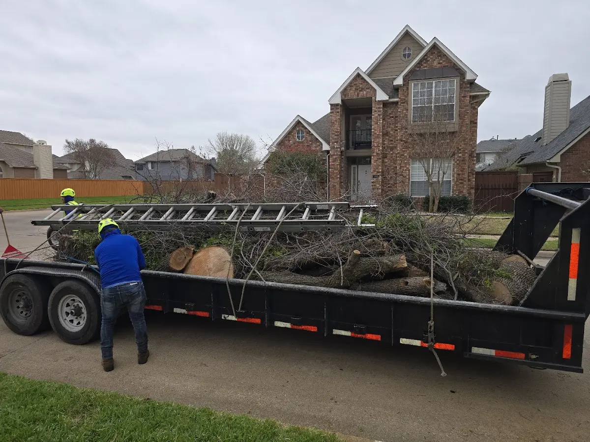 Expert Tree Pest Control with proper safety equipment in Micro